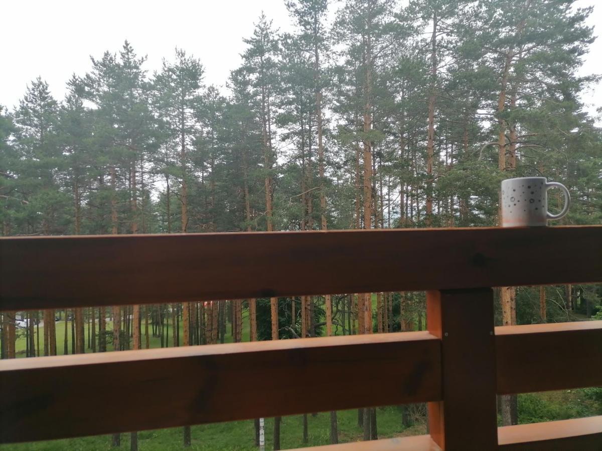 Apartman Nele Zlatibor Exterior foto