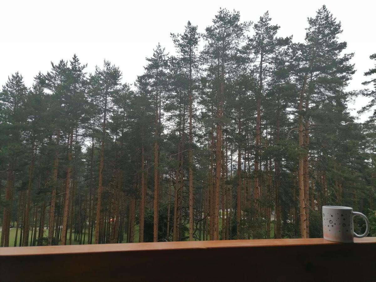 Apartman Nele Zlatibor Exterior foto